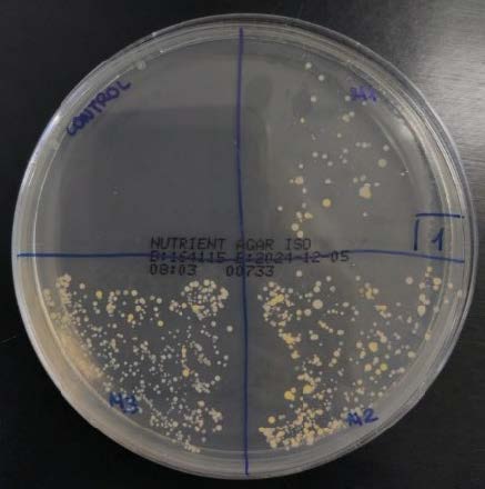Placa obtenida despu�s de realizar el experimento de prueba.