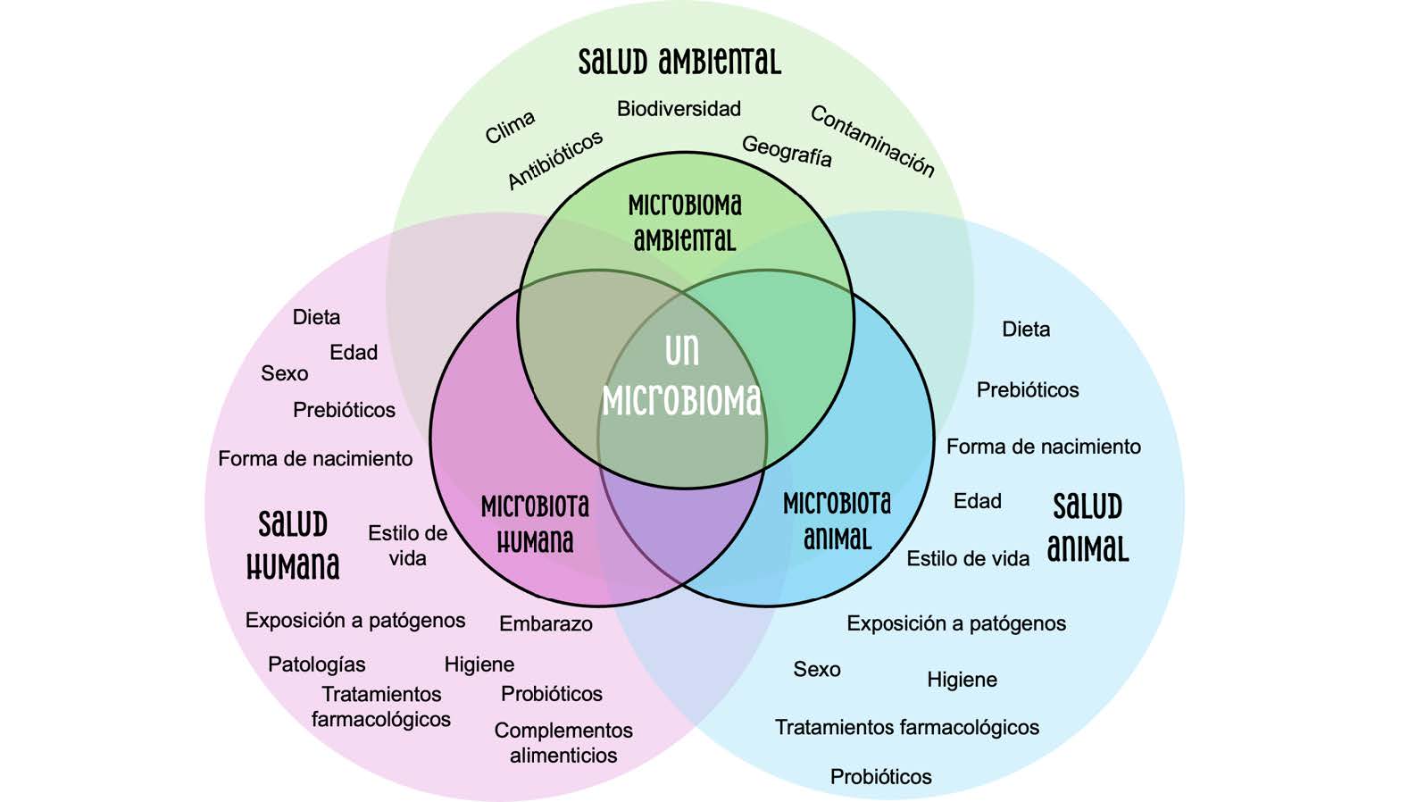 Modelo Una Salud de referencia. Elaboraci�n propia.