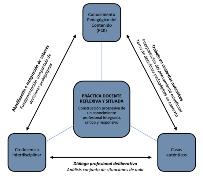 Articulaci�n entre PCK, co-docencia y casos aut�nticos en el desarrollo del conocimiento profesional docente en la formaci�n inicial del profesorado de ciencias