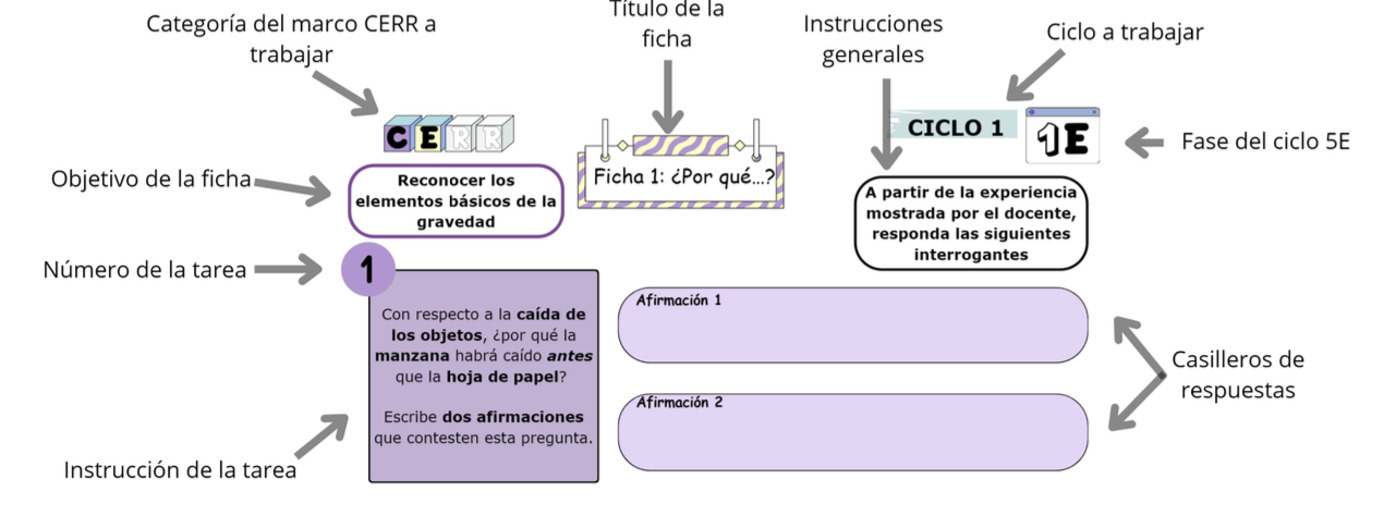 Estructura de las fichas