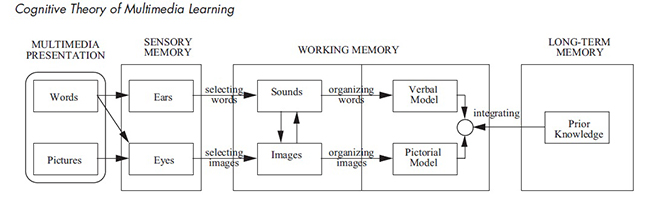 Esquema explicativo de la
TCAM (Mayer, 2001:61)