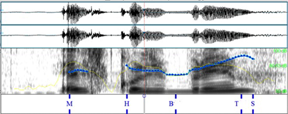 info_request
en italiano; &iquest;y el colibr&iacute;?
