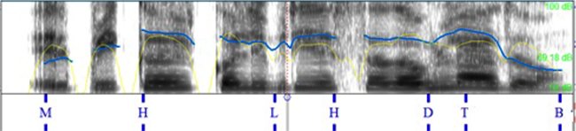 query_y
en espa&ntilde;ol; &iquest;el pico del colibr&iacute; est&aacute;
doblado?