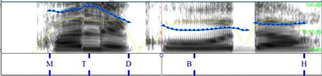 hold
en italiano; &iquest;qu&eacute; cola?