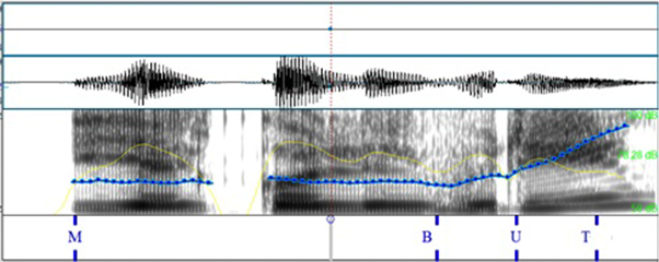 info_request en espa&ntilde;ol; &iquest;y el colibr&iacute;?