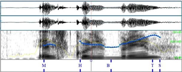  info_request en italiano; &iquest;y el colibr&iacute;?