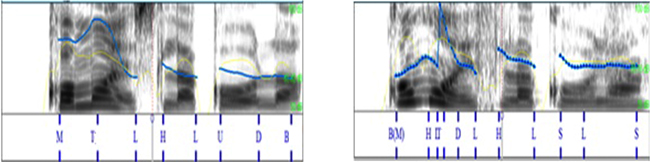 Otras realizaciones de Q_W de alumnas
de niveles superiores. 

 