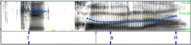 info_request
en espa&ntilde;ol; &iquest;y la cola?