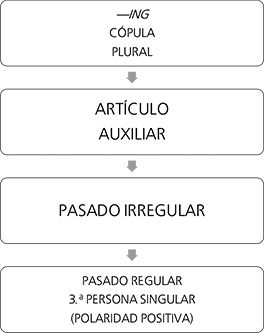 Orden natural de adquisición de algunos morfemas del inglés como L2 (Krashen, 1977a); tomado de Salazar (2009: 147)