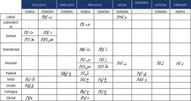 Figura 8