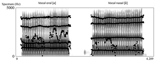 Comparación en el espectrograma de una vocal oral y una vocal nasalizada donde se puede apreciar el murmullo nasal en las frecuencias bajas derecha y la diferente posición de los formantes líneas continuas de color negro El estudiante puede apreciar su ejecución por comparación entre sus propias emisiones