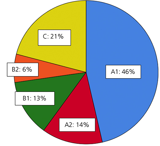 Estudiantes de ELE por nivel de espaol.