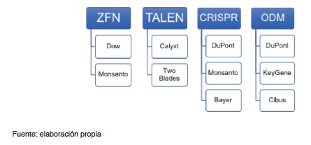 Los agentes de la innovación: usuarios de las técnicas de edición génica