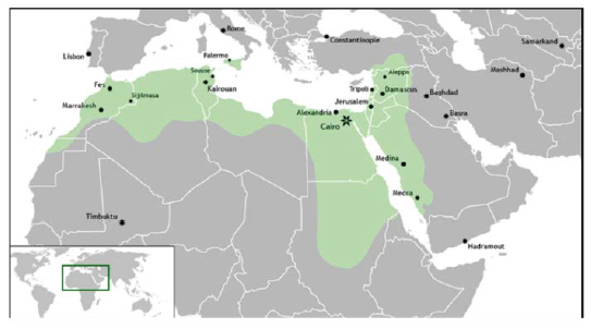 El imperio fatim o califato fatim, en su mayor medida de 909 a 1171