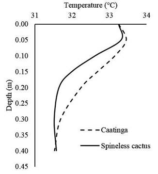Soil temperature profile of the Caatinga and the spineless cactus, on September 27, 2016, at 12 o'clock.