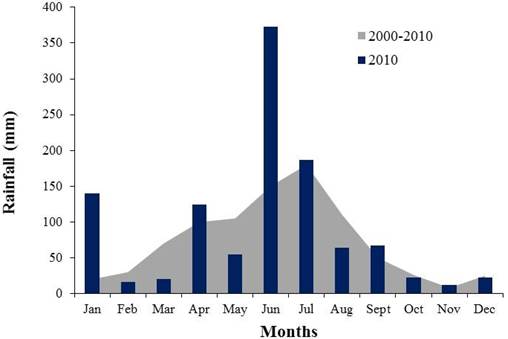 Mean monthly rainfall (January to December 2010) and historic mean in the municipality of Camocim de S&atilde;o F&eacute;lix-PE. Source: Data provided by ITEP/LAMEPE, Camocim de S&atilde;o F&eacute;lix Weather Station; * monthly rainfall in 2010 and 10-year average.