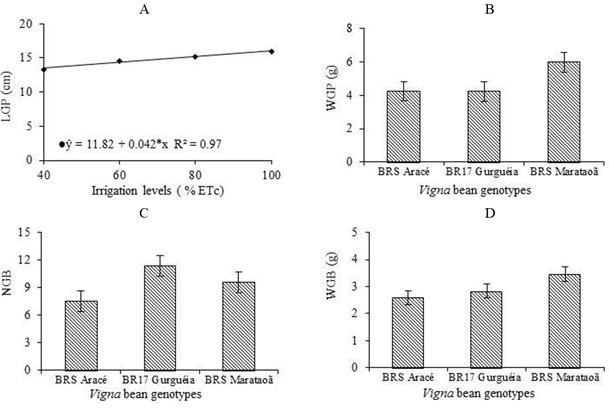 Length of green pods, LGP (A), weight of green pods, WGP (B), number of green beans, NGB (C) and weight of green beans, WGB (D) of cowpea genotypes under irrigation depths.
