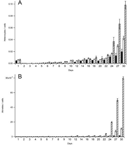 Average heterocyte (A) and akinete (B) production per cell of Nostoc paludosum grown in 100%/ total light (), 50%/partial light (□), and 13.5%/restricted light (), with respective standard deviation.