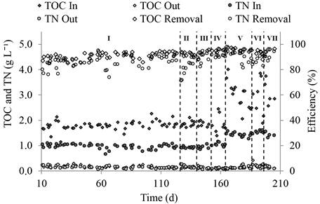 TOC and TN removal efficiencies in a MLE system under different carbon and nitrogen influent concentrations.