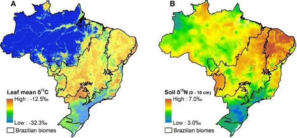 Plant δ
 13C isoscape from Powell et al. (2012) with author&rsquo;s consent (A); and soil δ
 15N isoscape based in Amundson et al. (2003) equation for 0 - 10 cm depth (δ
 15Nsoil(0-10) = 0.134 * MAT - 0.0005 * MAP + 3.1985) applied using climatic data from http://www.worldclim.org to elaborated (B).