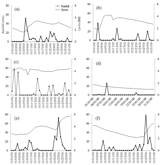 Relationship between the accumulated rain and the Gravata&iacute; River quota.