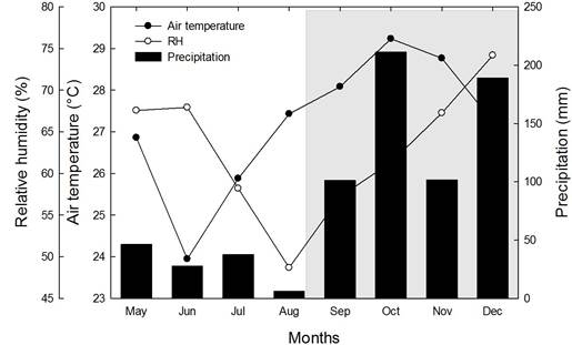 Mean monthly air temperature, relative humidity, and accumulated rainfall in 2009. The shaded area represents wet season, i.e., when rainfall > 100 mm.