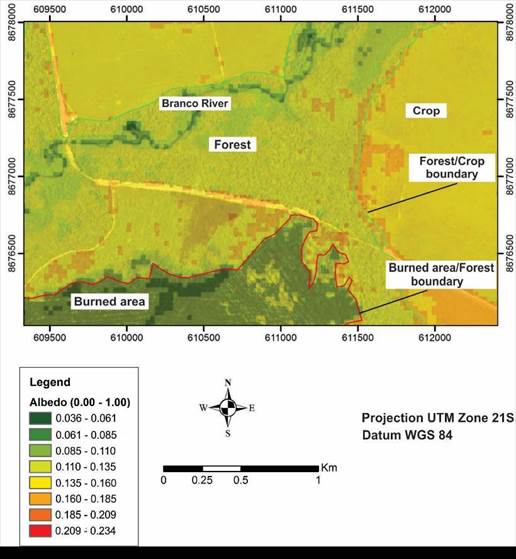 "Zoom" on the study area showing an overlay of albedo estimates and Google Earth Pro&reg; image (transparency of 65%).