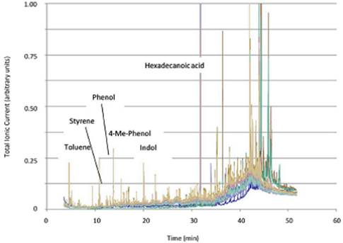 Superimposed GC-MS analytical results for the oil extracted in the different tests (From Capodaglio et al., 2016c).