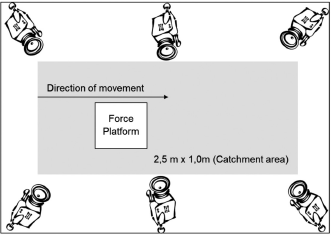 Organization of the collectionarea12