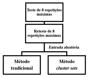 Fluxograma do estudo