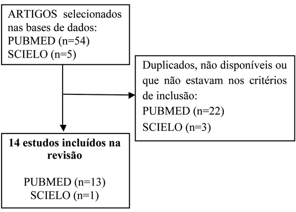 Fluxograma sobre metodologia da seleção dos estudos encontrados na presente pesquisa.