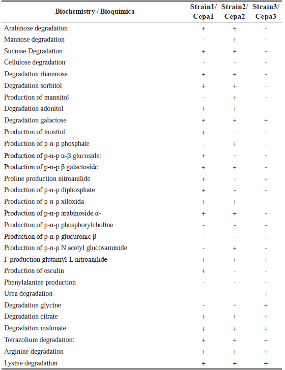 Biochemical behavior of isolate strains obtained by BBL Crystal�kit