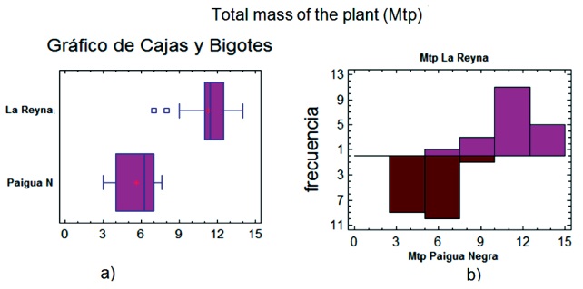 Dispersi�n de los datos alrededor de los valores medios (a) y frecuencia de aparici�n de las diferentes masas seg�n las variedades estudiadas (b)