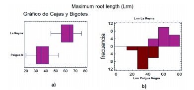Dispersi�n de los datos alrededor de los valores medios (a) y frecuencia de aparici�n de las diferentes longitudes de ra�z m�xima (Lrm) seg�n las variedades estudiadas (b)