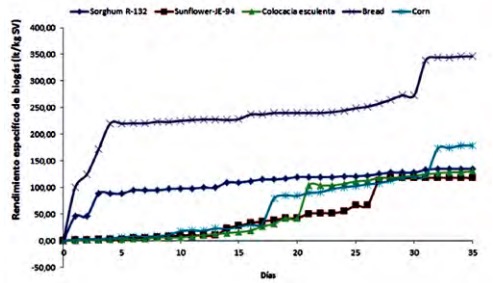 Average specific biogas yield of the biomasses using bovine inoculum without pre-treatment in field