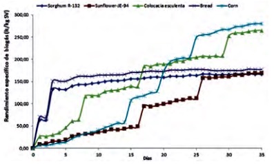 Average specific biogas yield of the biomasses using swine inoculum without pre-treatment in field experiments in Cuba