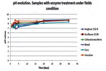 pH evolution. Variants analyzed under field conditions with enzymes pre-treatments and swine inoculum.