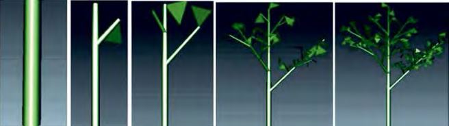 Iterations ordered from left to right that simulate the growth of the plant in different stages. (Iteration I, II, III, VI, VIII).