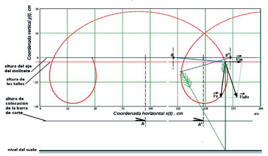 Trajectory of the End Points of the Reels of the Regulated Reel under Production Conditions and its Interaction with the Stems and the Cutting Organ.