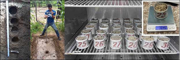 Sample extraction and processing in the laboratory for the determination of field capacity, real density, bulk density and porosity.