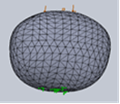 Guava modeling with strength, restrictions and solid mesh.