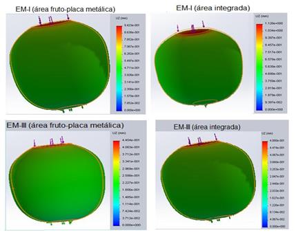 Result of the simulation of the longitudinal deformations when the fruit is compressed to 3% of the polar diameter in the two stages of maturation.