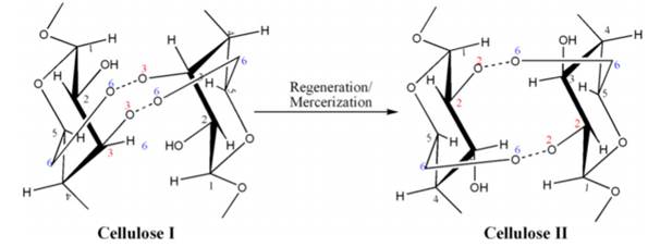 Polymorphous transformation of cellulose type I in II (Zuber et al., 2012).