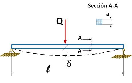 Descriptive scheme of the system under study.