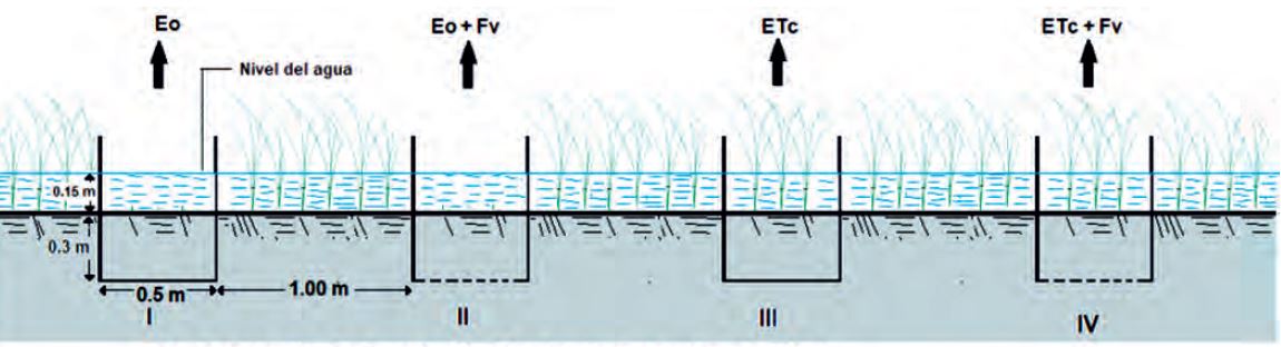 Installation scheme of the micro lysimeters.
