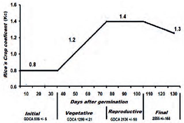 Adjusted rice&acute;s crops coefficients.