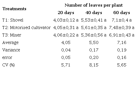 Number of leaves per plant