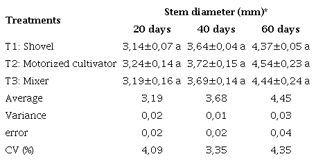Stem diameter in cocoa substrate patterns with different preparation variants