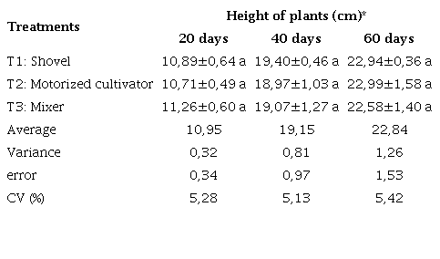 Height of plants in patterns