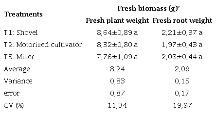 Fresh biomass from cocoa patterns